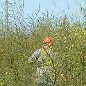 2 Clearing the Field (5)